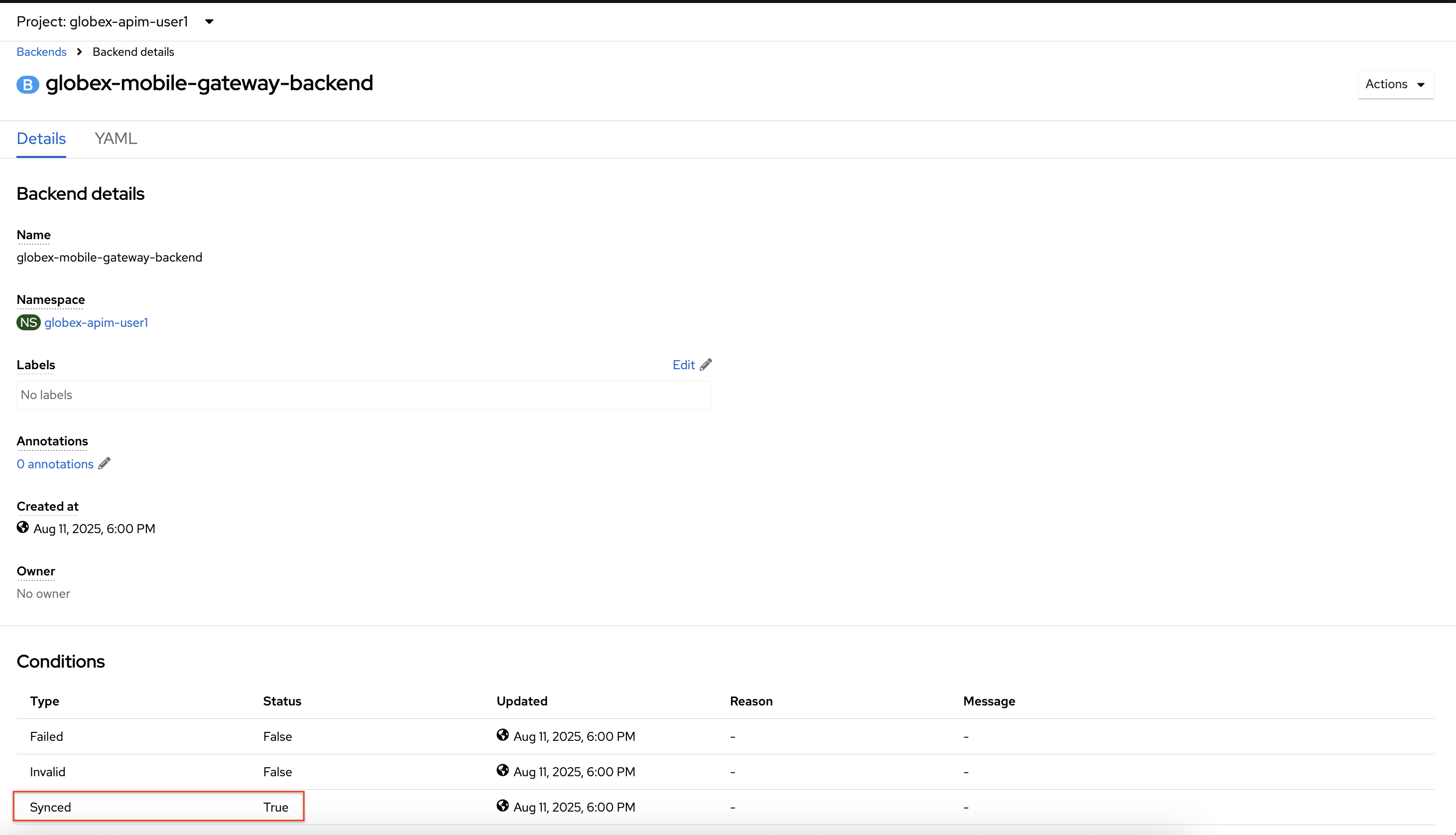 apim mobile backend created
