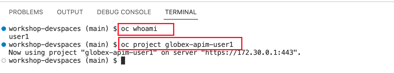 apim terminal setup