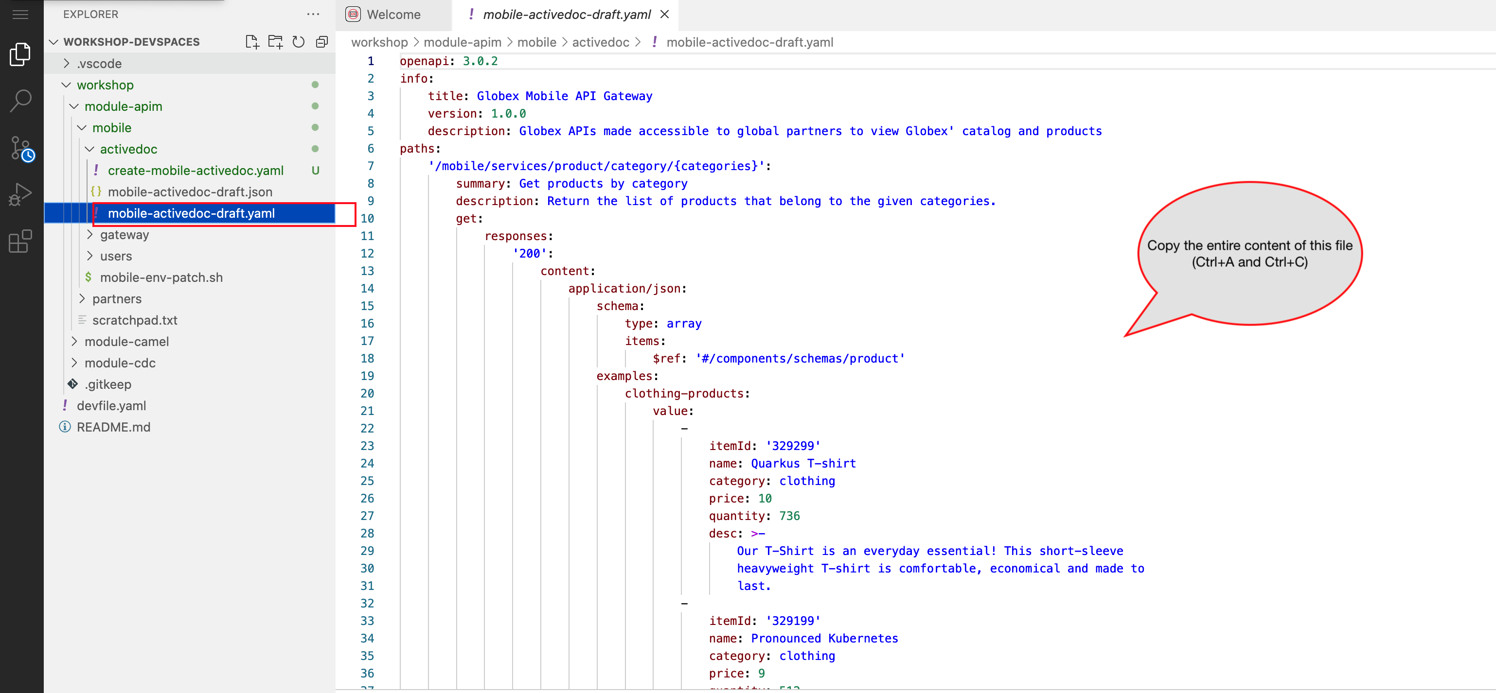 mobile draft spec devspace