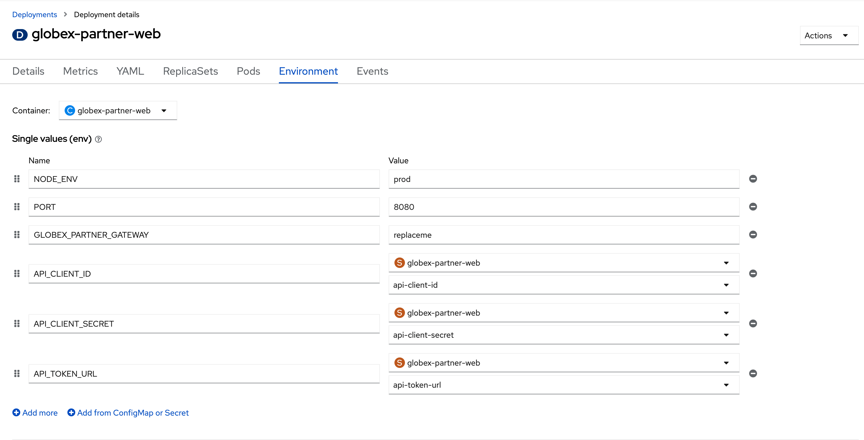 partner web deployment env