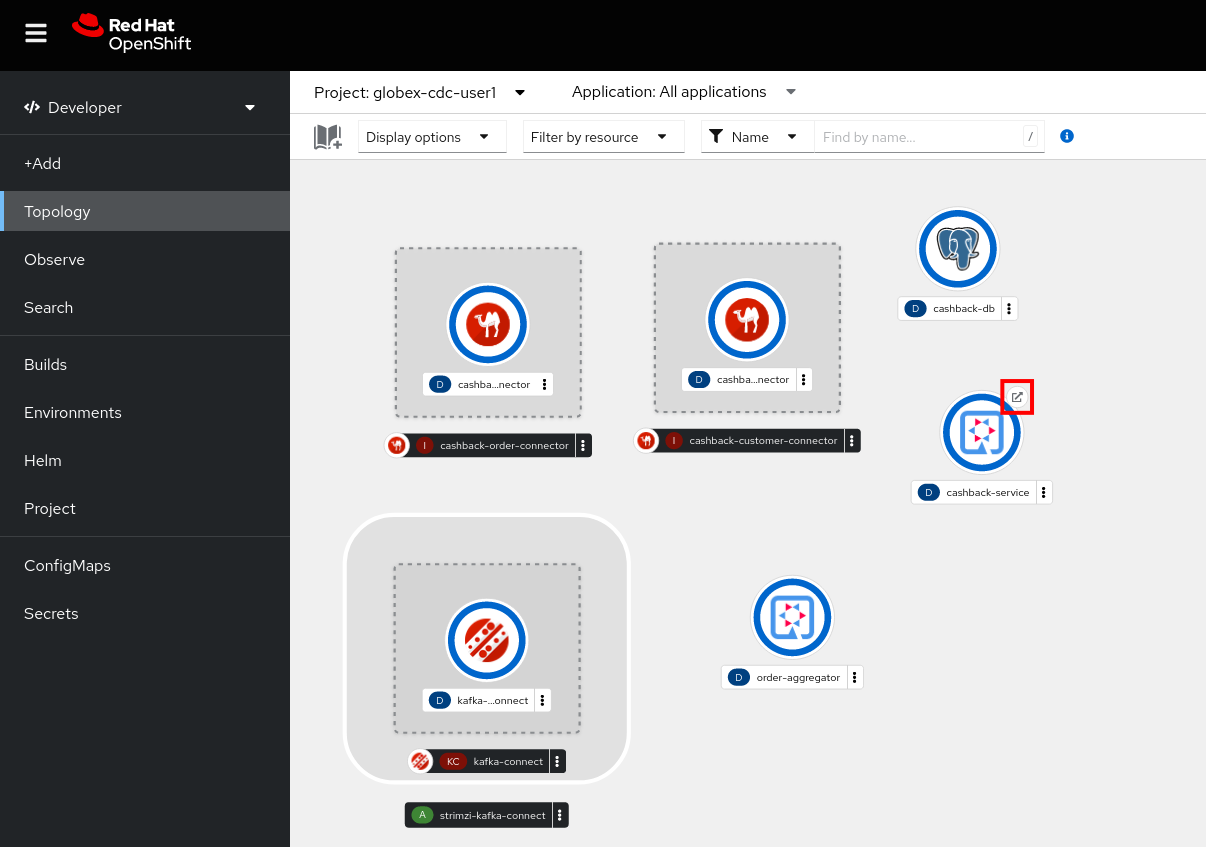 openshift console topology cashback service