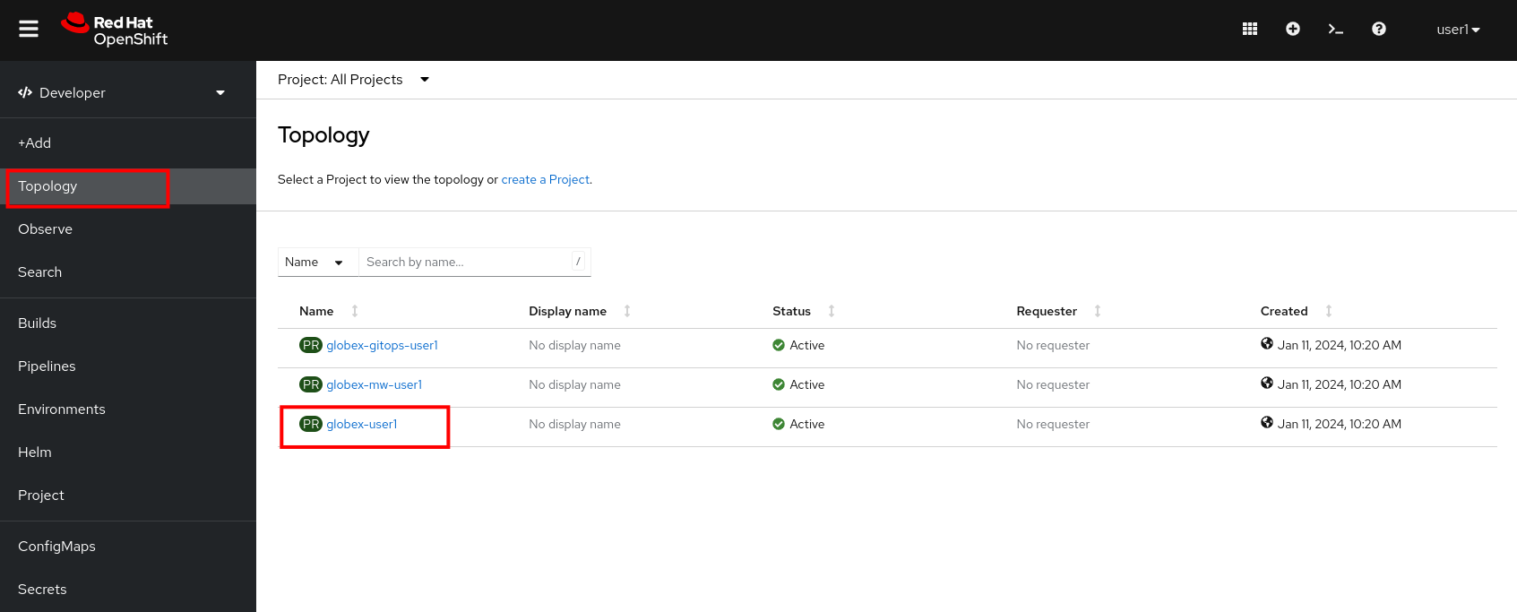 openshift console developer select topology