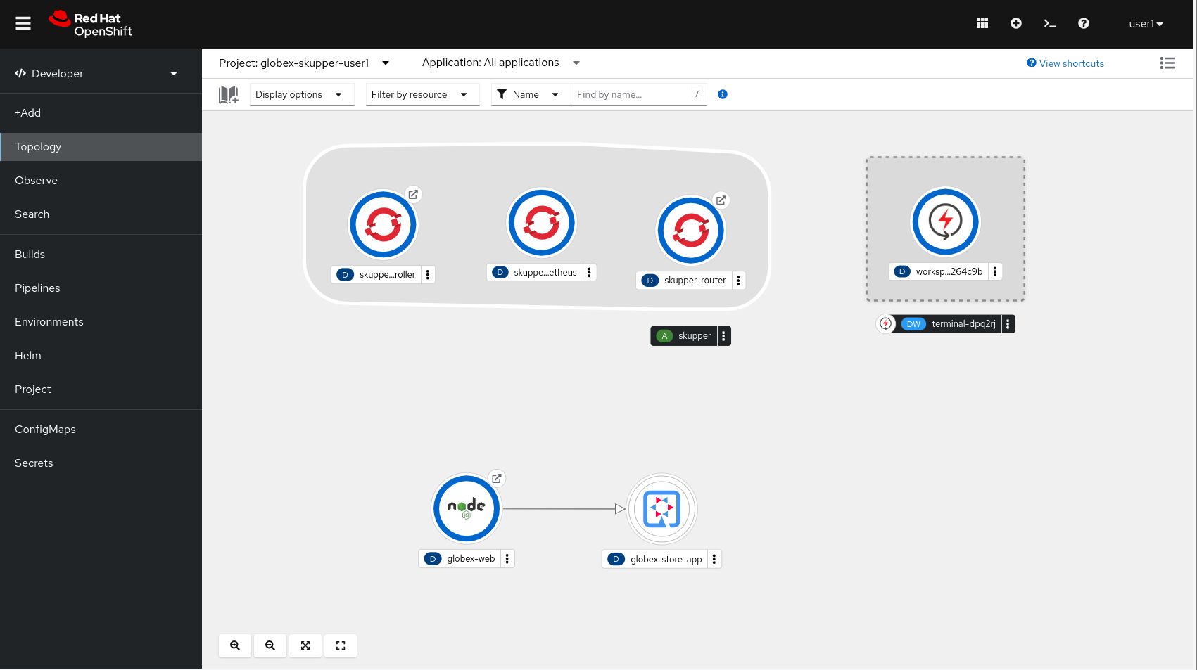 openshift console topology skupper 2