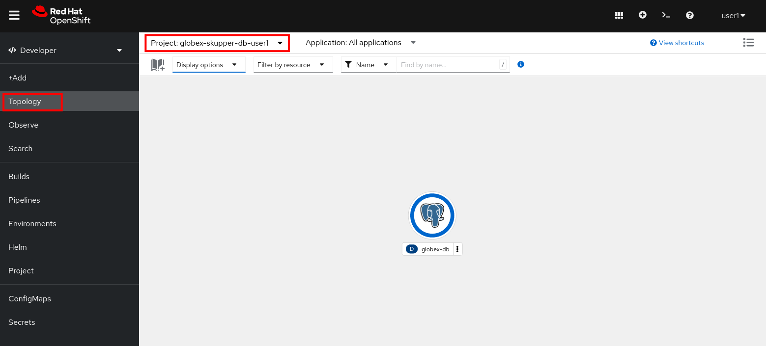 openshift console topology skupper isolated ns